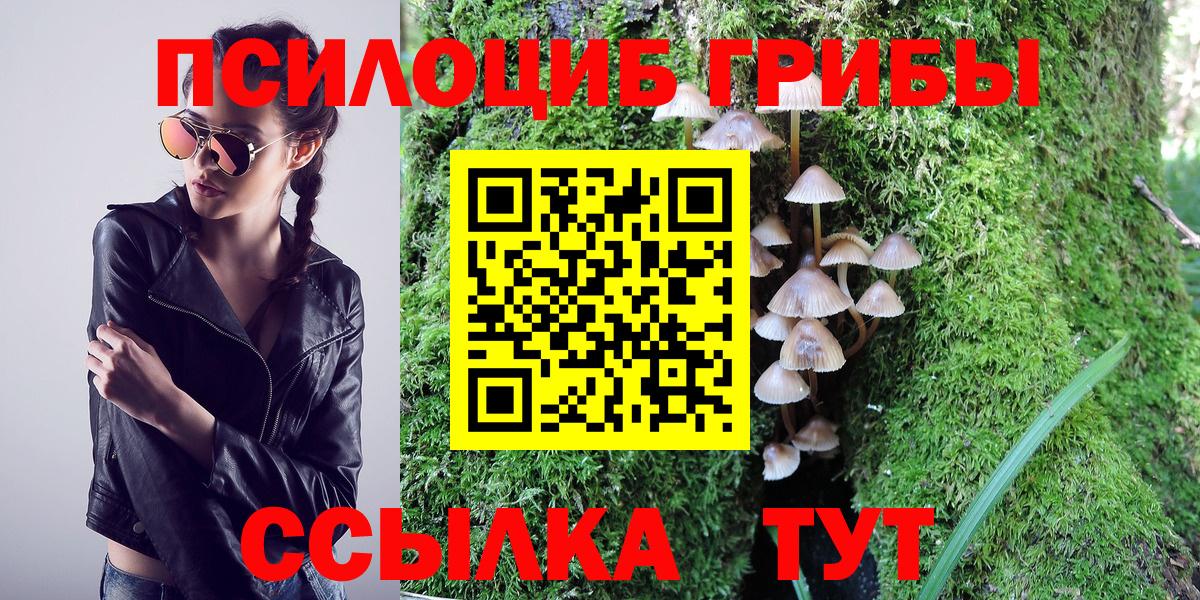 Галлюциногенные грибы Cubensis Выкса